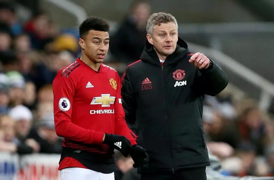 他拥有丰富 他拥有丰富