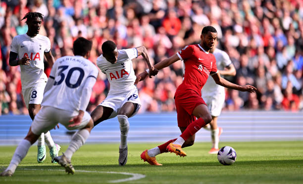 金杯虽近 金杯虽近